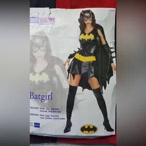Secret Wishes Batgirl Costume